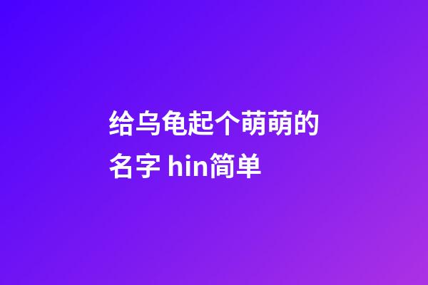 给乌龟起个萌萌的名字 hin简单